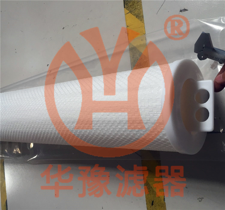 濾芯RSCP010-20EPP